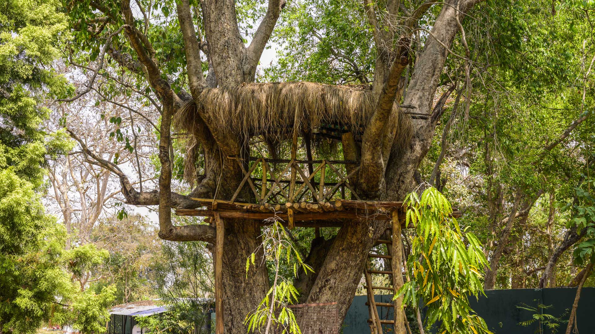 img/nirmal-chhaya-nature-resort/9.jpg
