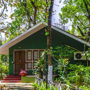 Luxury Huts
