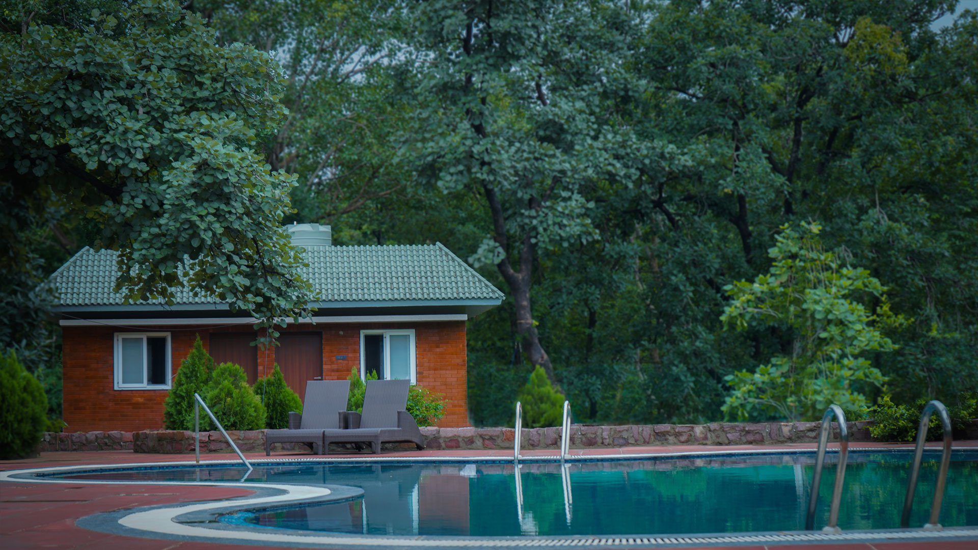 img/shahdar-jungle-resort/gallery/3.jpg