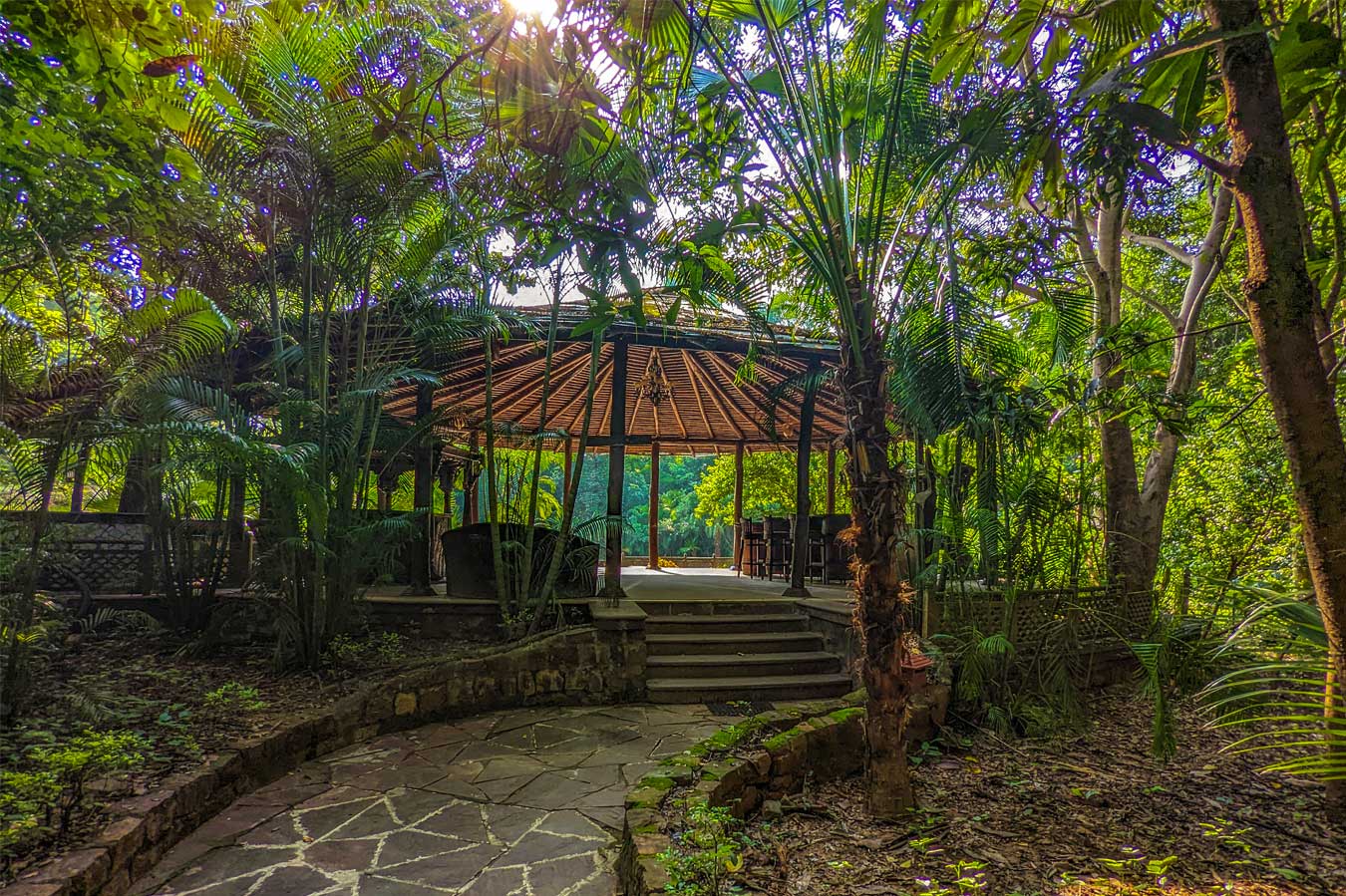 img/syna-tiger-resort/gallery/22.jpg