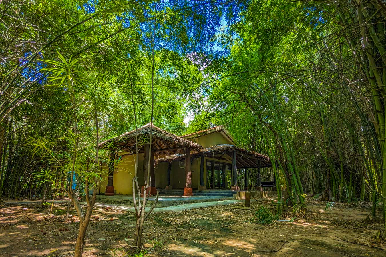 img/syna-tiger-resort/gallery/26.jpg