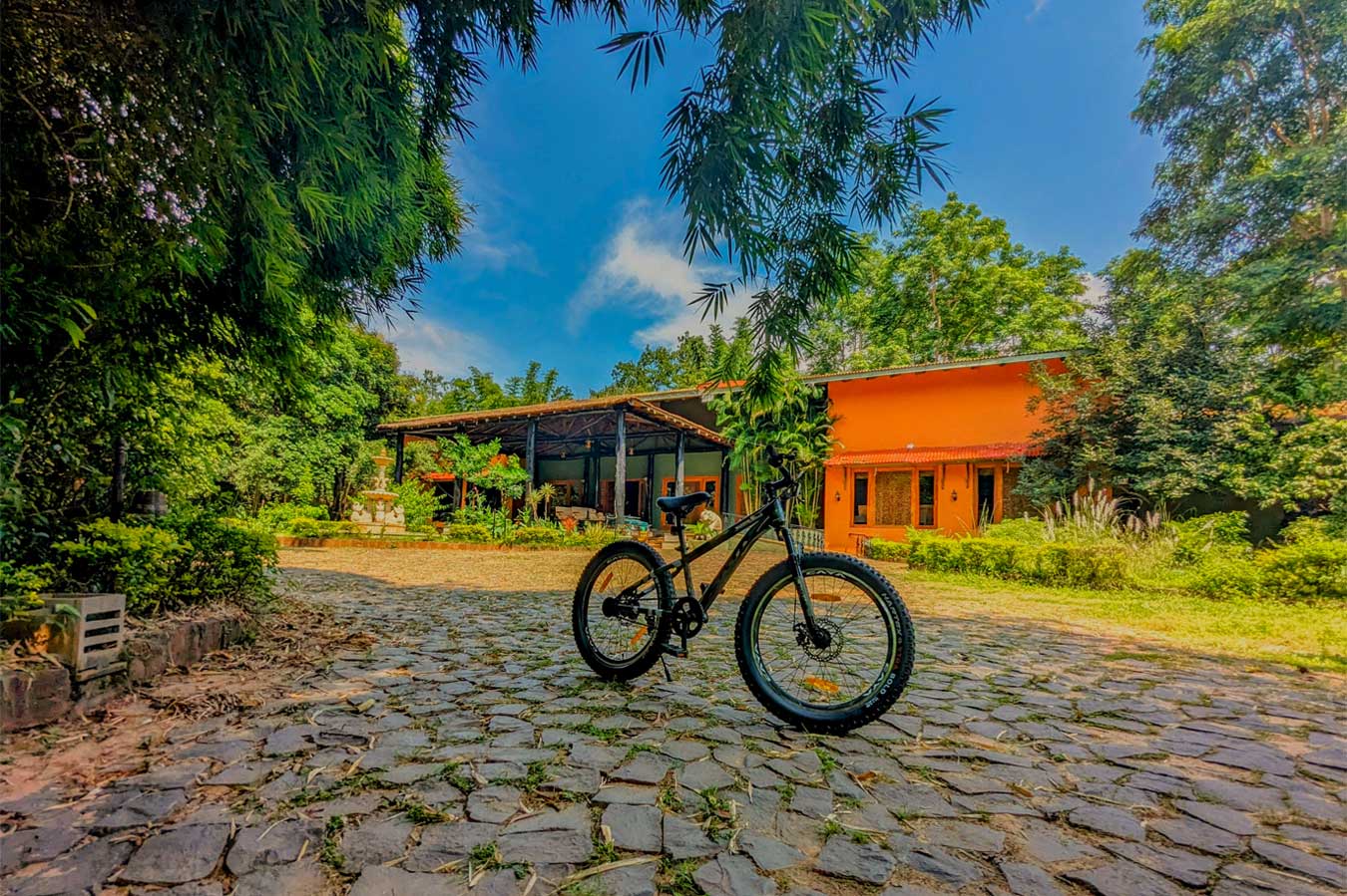 img/syna-tiger-resort/gallery/36.jpg
