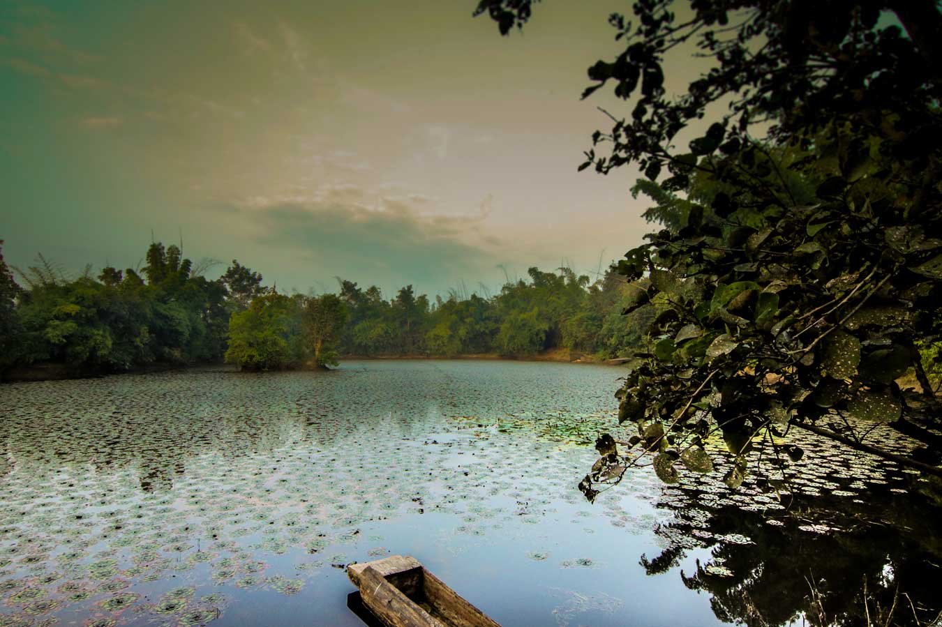 img/syna-tiger-resort/gallery/37.jpg