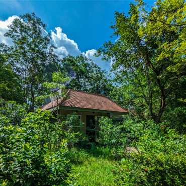 Tribal Cottages